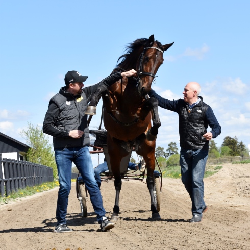 Propulsion slår sig fri från sin tränare Daniel Redén och kusk Örjan Kihlström. Foto av Jessica Ortiz Bergström